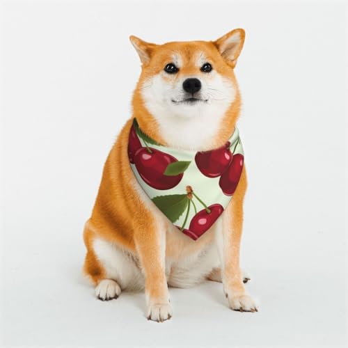 Hundehalstuch, Motiv: Kirschfrucht, klein, verstellbar, dreieckig, doppelt, wendbar, waschbar, für mittelgroße und große Hunde, Welpen, Katzen, Geschenk Hundehalstuch, Motiv: Kirschfrucht, klein, verstellbar, dreieckig, doppelt, wendbar, waschbar, für mittelgroße und große Hunde, Welpen, Katzen, Geschenk von Dwrepo