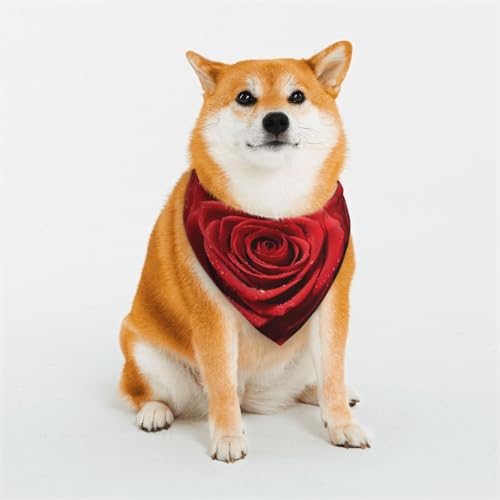 Hundehalstuch, Motiv: rote Rose, klein, verstellbar, dreieckig, doppelt, wendbar, waschbar, für mittelgroße und große Hunde, Welpen, Katzen, Geschenk Hundehalstuch, Motiv: rote Rose, klein, verstellbar, dreieckig, doppelt, wendbar, waschbar, für mittelgroße und große Hunde, Welpen, Katzen, Geschenk von Dwrepo