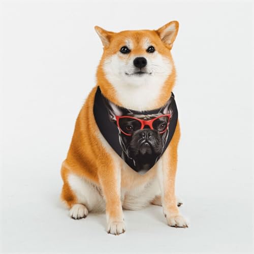 Hundehalstuch, französische Bulldogge, groß, verstellbar, dreieckig, doppelt, wendbar, waschbar, für mittelgroße und große Hunde, Welpen, Katzen, Geschenk Hundehalstuch, französische Bulldogge, groß, verstellbar, dreieckig, doppelt, wendbar, waschbar, für mittelgroße und große Hunde, Welpen, Katzen, Geschenk von Dwrepo