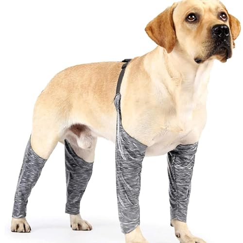 Dyeulget Hundestiefel-Leggings – Hundehose und Ärmel gegen Lecken | wasserdichte, weiche und verstellbare schützende Ellenbogenbandage, Anti-schmutzige Hundebandage für Bandagen, Wunden, Beine von Dyeulget