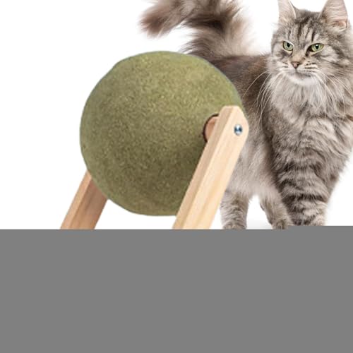 Dyeulget Katzenminze-Bälle für Katzen – Multifunktionaler Katzenminze-Rollball, Bodenhalterung, interaktives Katzenminze-Spielzeug, vielseitiges Katzenminze-Bodenspielzeug, angenehmer Dyeulget Katzenminze-Bälle für Katzen – Multifunktionaler Katzenminze-Rollball, Bodenhalterung, interaktives Katzenminze-Spielzeug, vielseitiges Katzenminze-Bodenspielzeug, angenehmer von Dyeulget