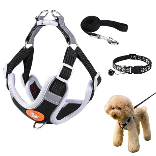 Brustgeschirr Hund,Hundegeschirr Kleine Hunde,Anti Zug Hundegeschirr,Einstellbar Reflektierend Geschirr,Reflektierend Brustgeschirr,mit Leine und Hundehalsband,für Kleine Mittele Hunde Katzen Brustgeschirr Hund,Hundegeschirr Kleine Hunde,Anti Zug Hundegeschirr,Einstellbar Reflektierend Geschirr,Reflektierend Brustgeschirr,mit Leine und Hundehalsband,für Kleine Mittele Hunde Katzen von Dyiouxin