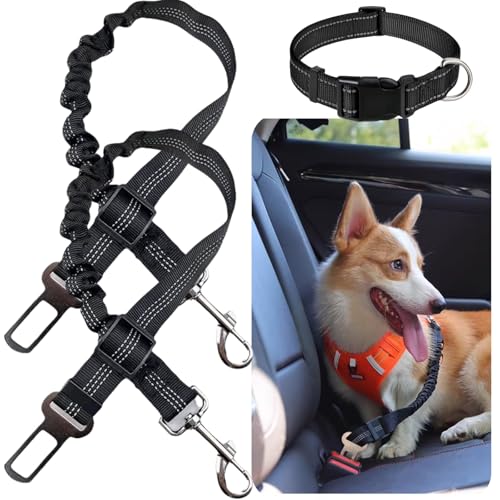 Hundegurt fürs Auto,2 Stück Anschnallgurt Hund Auto,Einstellbar Hundegurt mit Clip Haken-Verschluss & Schnalle,mit Halsband,Geeignet für die Meisten Haustiere,Schwarz Hundegurt fürs Auto,2 Stück Anschnallgurt Hund Auto,Einstellbar Hundegurt mit Clip Haken-Verschluss & Schnalle,mit Halsband,Geeignet für die Meisten Haustiere,Schwarz von Dyiouxin