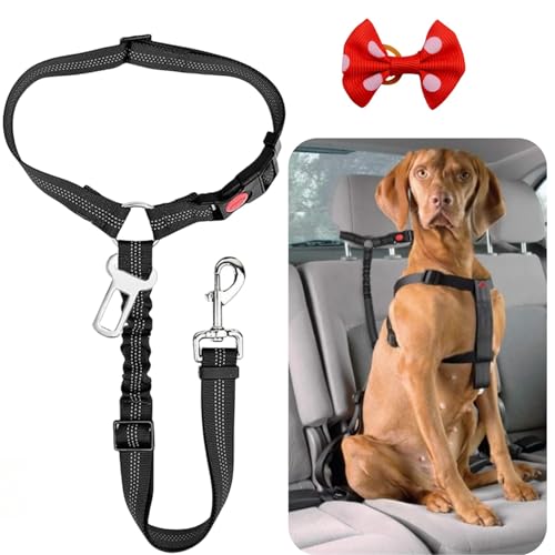 Hundegurt fürs Auto,2-in-1 Verstellbarer Anschnallgurt Hund,Hunde Anschnallgurt mit Elastischer,Universal Hunde Sicherheitsgurt fürs Auto Kopfstütze,Geeignet für die Meisten Haustiere-Schwarz Hundegurt fürs Auto,2-in-1 Verstellbarer Anschnallgurt Hund,Hunde Anschnallgurt mit Elastischer,Universal Hunde Sicherheitsgurt fürs Auto Kopfstütze,Geeignet für die Meisten Haustiere-Schwarz von Dyiouxin