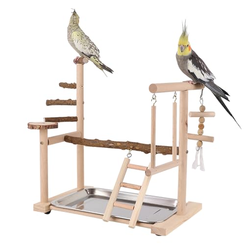 Dynaeuty Papagei Vogelspielplatz, Wellensittich Spielzeug, Parrot Playstand, Geeignet für Eclectus, Ara, Kakadu, Sittich (36x23x39cm) von Dynaeuty