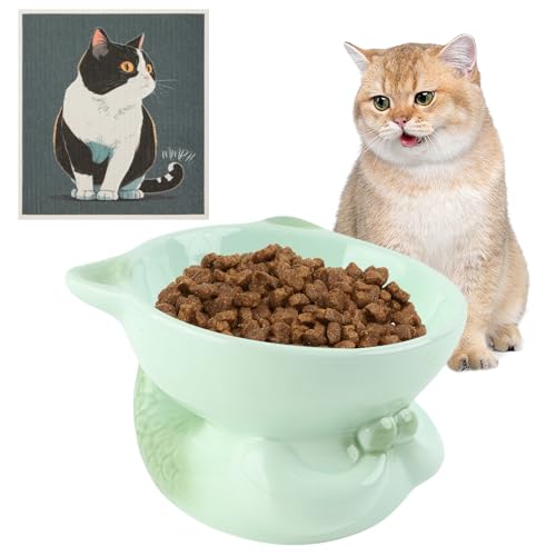 Dzmuero Katzennapf, Futternapf Katze, Katzennapf Keramik mit Geschirrtuch, 15° Neigung Design, Anti-Spill, Anti-Vomit, Katzennapf Erhöht für Katzenwasser, Trockenfutter, Nassfutter (Grün) von Dzmuero