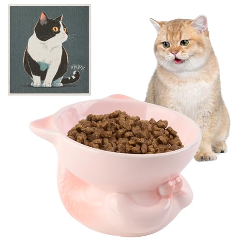 Dzmuero Katzennapf, Futternapf Katze, Katzennapf Keramik mit Geschirrtuch, 15° Neigung Design, Anti-Spill, Anti-Vomit, Katzennapf Erhöht für Katzenwasser, Trockenfutter, Nassfutter (Rosa) von Dzmuero