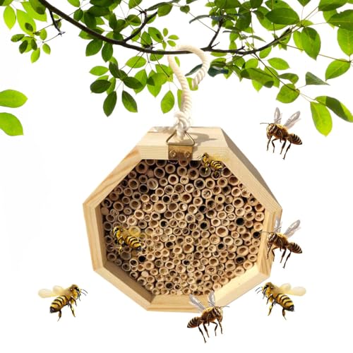 DzpKrka Bee Hotel, Bienenhaus,Holzbienenlebensraum | Bestäubungspalast, Schmetterlingshaus, Hinterhof -Wespenlebensraum, zieht Bestäuber an DzpKrka Bee Hotel, Bienenhaus,Holzbienenlebensraum | Bestäubungspalast, Schmetterlingshaus, Hinterhof -Wespenlebensraum, zieht Bestäuber an von DzpKrka