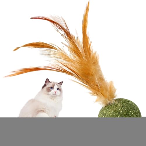 DzpKrka Katzenminze Spielzeug,Kauspielzeug Für Katzen Mit Schwanz - Leckbarer Energieball für Jagdspiele, Zahnreinigung, geistige Stimulation, gegen Langeweile und für drinnen sowie draußen DzpKrka Katzenminze Spielzeug,Kauspielzeug Für Katzen Mit Schwanz - Leckbarer Energieball für Jagdspiele, Zahnreinigung, geistige Stimulation, gegen Langeweile und für drinnen sowie draußen von DzpKrka