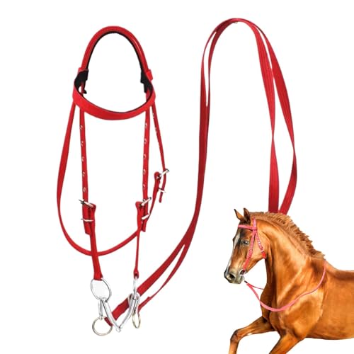 DzpKrka ZLEINE für, Kopfstall für e | Einstellbares Seil geflochtene ebrüchten Zügel,Sicherheit Rein Ranch Seil mit Schnappschüssen, Animal Bridle Equine Supplies von DzpKrka