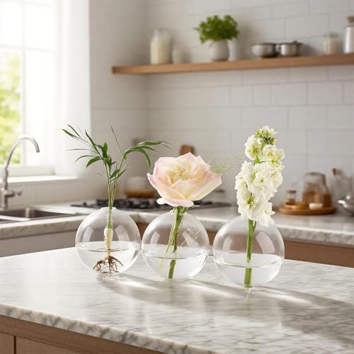 E-ROOM TREND Pflanzen-Anzuchtstation mit 3 verbundenen Kugeln, kleines Glaspflanzenterrarium, klares Hydrokultur-Terrarium für Zimmerpflanzen, Heimbüro, Garten, Dekoration, Vase, 24 x 8 x 8 cm E-ROOM TREND Pflanzen-Anzuchtstation mit 3 verbundenen Kugeln, kleines Glaspflanzenterrarium, klares Hydrokultur-Terrarium für Zimmerpflanzen, Heimbüro, Garten, Dekoration, Vase, 24 x 8 x 8 cm von E-ROOM TREND