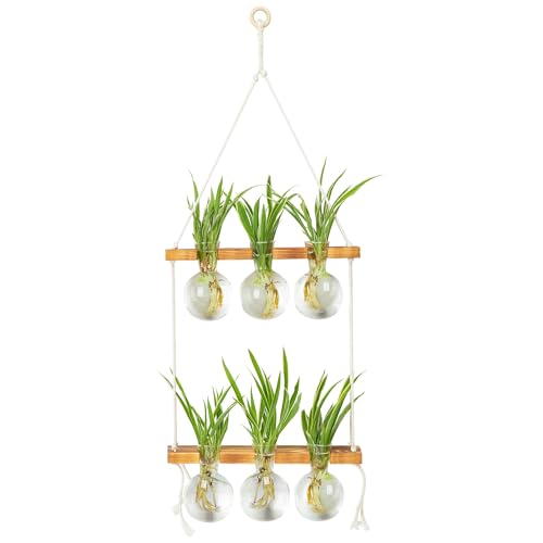E-ROOM TREND Wand-Pflanzgefäße für Zimmerpflanzen, Anzuchtstationen mit 2 Ebenen, Holzständer, Glasvasen, Anzuchtvasen für Pflanzen, Terrarium, Geschenke für Pflanzenliebhaber, Heimbüro-Dekor E-ROOM TREND Wand-Pflanzgefäße für Zimmerpflanzen, Anzuchtstationen mit 2 Ebenen, Holzständer, Glasvasen, Anzuchtvasen für Pflanzen, Terrarium, Geschenke für Pflanzenliebhaber, Heimbüro-Dekor von E-ROOM TREND