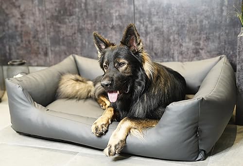 4L Textil Mario Wasserfestes Hundebett Kunstleder Hundekorb aus Kunstleder Hundebett große und mittelgroße Hunde Hundesofa Kunstleder XXL Hundekissen wasserfest (120x90 cm, Grau(Hundekorb)) von 4L Textil