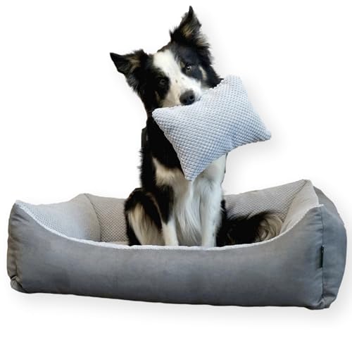 4L Textil Teo Hundekorb mittelgroße Hunde Hundebett kuschelig Bezug abnehmbar und waschbar Hundekissen Hundekörbchen flauschig Hundesofa (100x80 cm, Grau) von 4L Textil