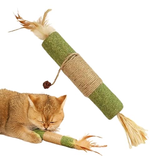 EACTEL Katzenminze Silvervine Sticks – 30 cm natürliches Kauspielzeug für Katzen | Leckerlispielzeug für Katzen | Katzen-Beißspielzeug | Katzenzahnpflege für Wohnungskatzen und Kätzchen von EACTEL