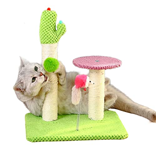 Katzenpfostenkratzer - Interaktive Kratzbäume für Kätzchen im Kaktus-Design | Haustier-Katzen-Spielzeug für den Innenbereich, Kätzchen-Kratzkratzer für kleine, mittelgroße und große Katzen, Eactel von EACTEL