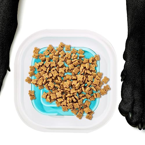 Verlangsamen Sie das Fressen von Hundenäpfen | Langsame Futternäpfe,Welpen-Futternapf, Rutschfester Puzzle-Napf, lebensmittelechtes PP, verlangsamt das Fressen von Haustieren, verhindert Eactel von EACTEL