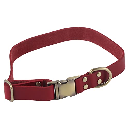 Halsband Hund, Weiches gepolstertes lederhalsband Hund für mehr Komfort, hundehalsband große Hunde für Spaziergänge, den täglichen Gebrauch bei bis großen Hunderassen (M) von EALRIDV