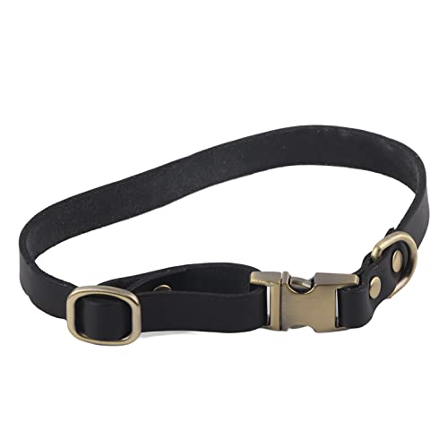Halsband Hund, Weiches gepolstertes lederhalsband Hund für mehr Komfort, hundehalsband große Hunde für Spaziergänge, den täglichen Gebrauch bei bis großen Hunderassen (M) von EALRIDV