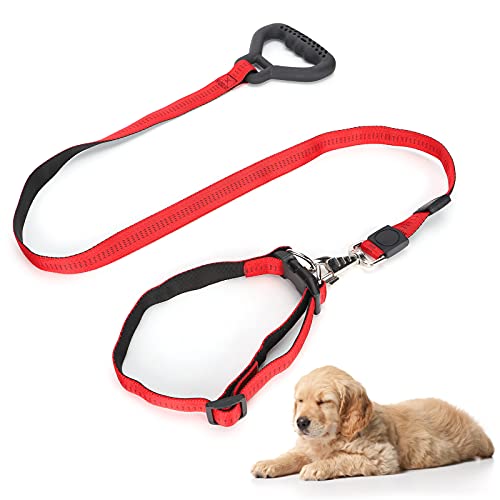 Hundeleine Hundeleinen mit Verstellbarem Halsband und Komfortgriff für Kleine Mittelgroße Große Hunde aus Nylon, Laufleine für Hunde Beim Spazieren, Training und Outdoor (Rot) von EALRIDV
