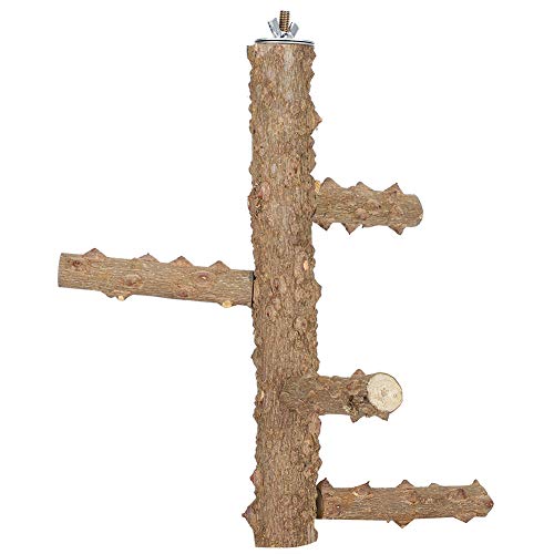 Vogelständer für Vögel, Vogelperchständer mit rotierendem Design, Holzvogelstand zum Training, Spielen und Ausruhen (Ealridv1eunn-11) von EALRIDV