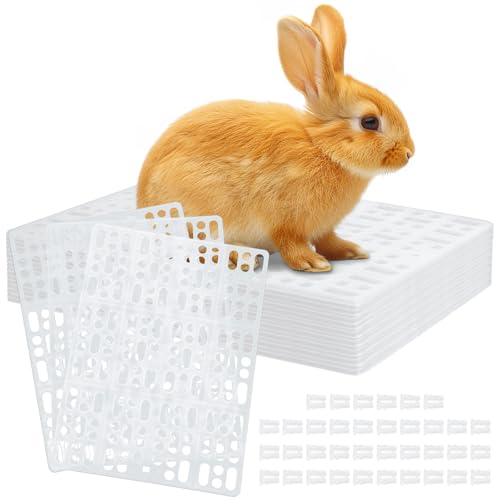 EATHEATY 18 Stück Kaninchenkäfige Matten Kunststoff Kaninchen Bodenmatte mit Schnappgelenk, Kleintierfüße Pads Bodenmatte für Haustier Katzen Hunde Kaninchen Chinchilla Meerschweinchen EATHEATY 18 Stück Kaninchenkäfige Matten Kunststoff Kaninchen Bodenmatte mit Schnappgelenk, Kleintierfüße Pads Bodenmatte für Haustier Katzen Hunde Kaninchen Chinchilla Meerschweinchen von EATHEATY