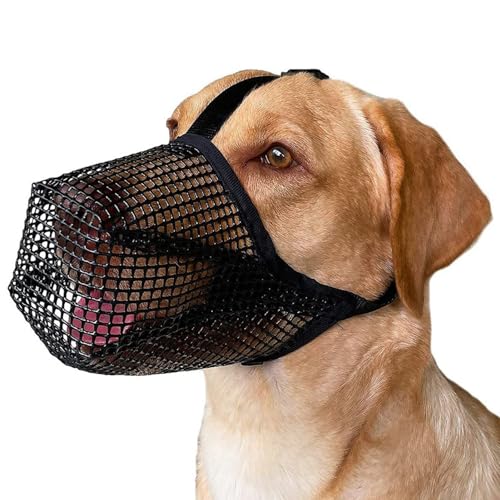Dog Muzzles, Mesh Small Medium Dog Muzzle, Poisoned Bait Protection Muzzle Adjustable Prevent Biting Chewing and Licking (Color : Black, Size : M) von EAUSO