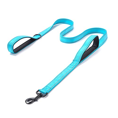 Hundeleine verstellbare reflektierende Nähte Doppelgriff Hundeleine Laufleine Hundezubehör (Color : L Blue Black, Size : L (2.5x180cm)) von EBSBAG