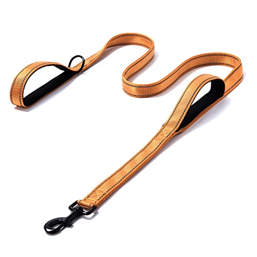Hundeleine verstellbare reflektierende Nähte Doppelgriff Hundeleine Laufleine Hundezubehör (Color : Yellow Black, Size : M (2.5x150cm)) von EBSBAG