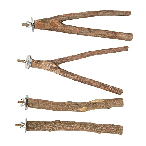 Bird Barch Stand Set - Holzbarsch Zum Klettern, Kauen und Spielen mit Verbessertem Spaß! von EBTOOLS