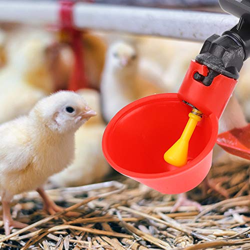 EBTOOLS 10pcs Automatischer Geflügelvogelspender mit Einfacher Installation für Hühner und Vögel (4-Punkte-Halbkreisrohr kleine rote Schüssel) von EBTOOLS