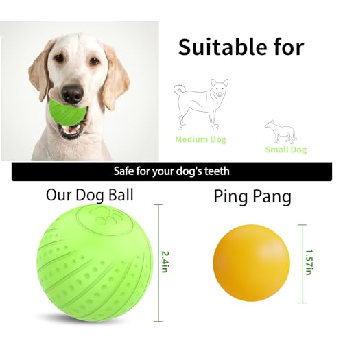 EBTOOLS Interaktiver Fernbedienungs -Steuerhund mit Zwei Modi, Niedrigem Rauschen, Akkulaufzeit und Sicherem Material - Ideales Haustierspielzeug Zum Spaß (Keine Fernbedienung) von EBTOOLS