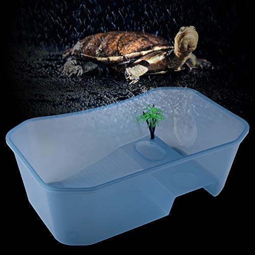 EBTOOLS Kleine Tragbare Plastikfische mit Einer Börsenplattform für Schildkröten und Reptilien - Transparent und Design (Blue) von EBTOOLS