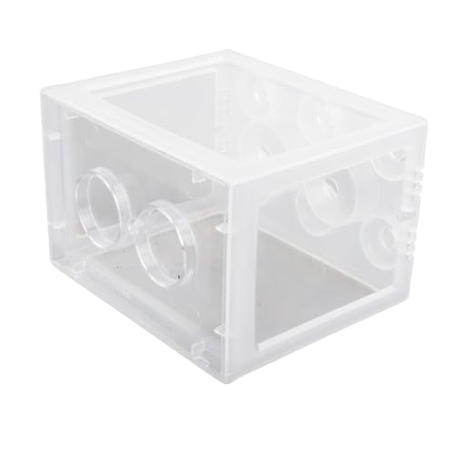 EBTOOLS Kleine Transparente Acryl -Betta -Fische Tragbares Explosionssicheres Aquarium für, Reptilien und Garnelen (Gewöhnlich transparent) von EBTOOLS
