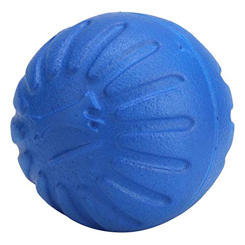 EBTOOLS PC Eva Hundespielzeug - Bisskauspielzeug für Interaktives Spiel, Leichtgewicht & Ideal für Spaß Im Freien (Blue) von EBTOOLS