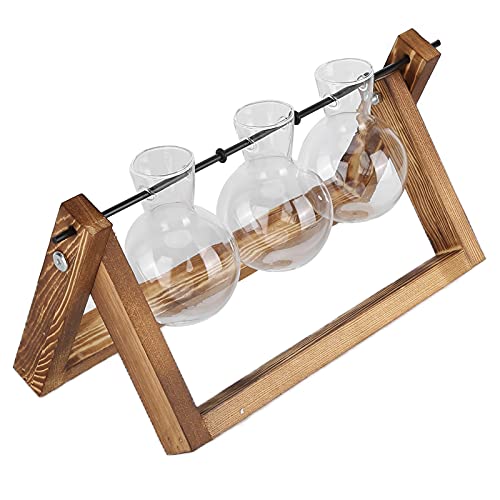 EBTOOLS Plant -Terrarium mit Holzständer und Glühbirnenvase - Vintage Tabletop Pflanzer für Haus und Bürodekoration (Retro -Rack + DREI Flaschen) von EBTOOLS