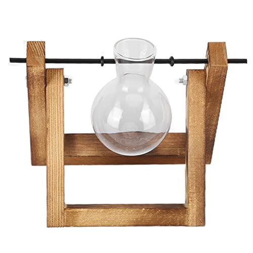 EBTOOLS Plant -Terrarium mit Holzständer und Glühbirnenvase - Vintage Tabletop Pflanzer für Haus und Bürodekoration (Retro -Rack + Einzelflasche) von EBTOOLS