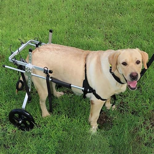 EBZFASO Verstellbarer Rollstuhl für kleine Hunde – Hilfsm Verstellbarer Hunderollstuhl aus Aluminiumlegierung mit 2 Rädern, Mobilitätshilfe for mittelgroße/große Haustiere, mehrere Größen(XXL) von EBZFASO