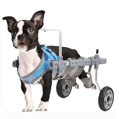 EBZFASO Verstellbarer Rollstuhl für kleine Hunde – Hilfsm Verstellbarer Rollstuhl aus Aluminiumlegierung for Hunde und Katzen, Größen XS-L, Mobilitätshilfe mit Rädern(L) von EBZFASO