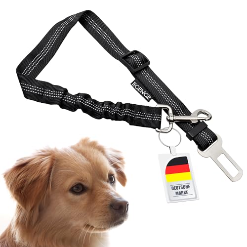 ECENCE 1x Hundegurt fürs Auto Sicherheitsgurt Hunde Anschnallgurt elastisch geeignet für alle Autotypen und Hunderassen von ECENCE