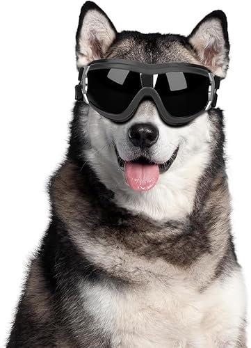 Hundebrille, Wasserdicht Und Winddicht, Hundesonnenbrille, Anti-UV-Sonnenschutz, Hundebrille, Verstellbar, Elastische Passform, Für Große, Mittelgroße Und Kleine Hunde, Schwarz Hundebrille, Wasserdicht Und Winddicht, Hundesonnenbrille, Anti-UV-Sonnenschutz, Hundebrille, Verstellbar, Elastische Passform, Für Große, Mittelgroße Und Kleine Hunde, Schwarz von ECHOBUY