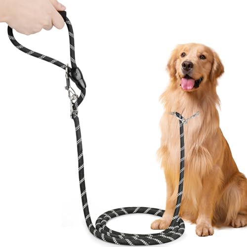 Unverschämt robuste Hundeleine für große und mittelgroße Hunde (15-60 kg) - 3m Verstellbare Doppelleine & Freihandleine aus Nylon mit Reflektierend Tragfähigkeit bis zu 200 kg von ECHOBUY