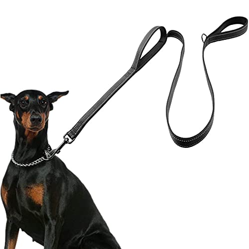 eco-clean Hund Leine für große Hunde, 2 Griffe für extra Kontrolle, 6 ft Lang mit Reflektierende Stich für Nacht Walking, Large, schwarz von ECO-CLEAN