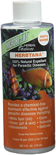 Ecological Labs AEL20905 Microbe Lift Herbtana Salzwasseraufbereiter für Aquarium, 118 ml von MICROBE-LIFT