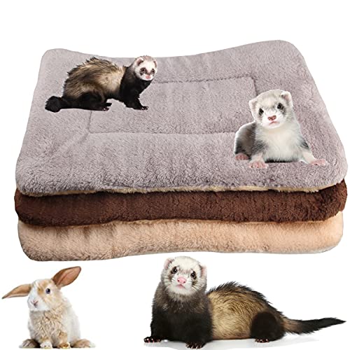 ECOSCO 3-teiliges Haustierbett aus Plüsch, warm, flauschig, für Kätzchen, Welpen, Frettchen, Fleece, Schlafunterlage für Chinchilla, Eichhörnchen, Igel, Hamster, Meerschweinchen, Bettmatte (groß: 50 x 33 cm, Set-A) ECOSCO 3-teiliges Haustierbett aus Plüsch, warm, flauschig, für Kätzchen, Welpen, Frettchen, Fleece, Schlafunterlage für Chinchilla, Eichhörnchen, Igel, Hamster, Meerschweinchen, Bettmatte (groß: 50 x 33 cm, Set-A) von ECOSCO