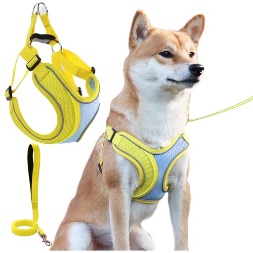 Hundegeschirr mit Leine, für jedes Wetter, weich gepolstertes Netzgewebe, reflektierend, X-Form, verstellbar, für kleine und mittelgroße Hunde, große Katzen, Größe XS, Gelb Hundegeschirr mit Leine, für jedes Wetter, weich gepolstertes Netzgewebe, reflektierend, X-Form, verstellbar, für kleine und mittelgroße Hunde, große Katzen, Größe XS, Gelb von ECObreathing