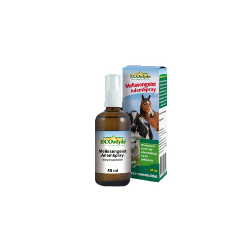 ECOstyle Melissengeist Atemspray - 50 ml ECOstyle Melissengeist Atemspray - 50 ml von ECOstyle