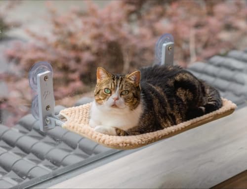 EDAGNY Stilvolle Katzen Hängematte Fenster Faltbar – Plüsch Katzen Fensterliege aus mit Abnehmbarem Dickem Bezug, Stabiles Stahlgestell mit 4 Saugnäpfe halten bis zu 18kg (Beige, M) von EDAGNY