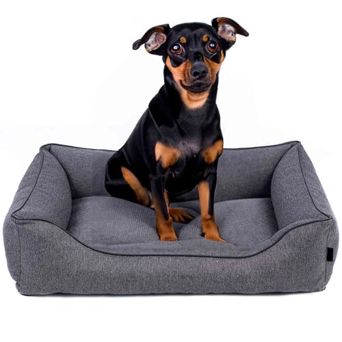 EDANTI Hundebett Demontierbar Hundekissen, Hundekorb, Hundesofa, Hundecouch, Matte, Komfort (Stahl, Schwarz Paspel, L) von EDANTI