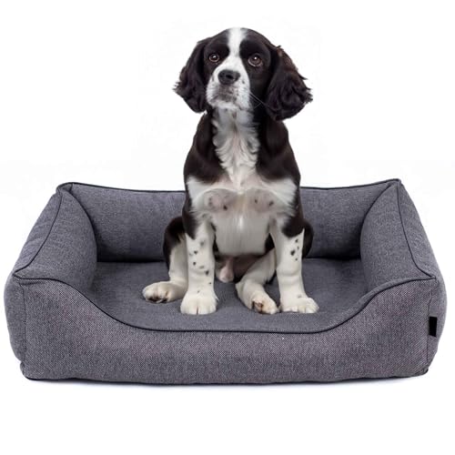 EDANTI Hundebett Demontierbar Hundekissen, Hundekorb, Hundesofa, Hundecouch, Matte, Orthopädische (Stahl, Schwarz Paspel, M) von EDANTI